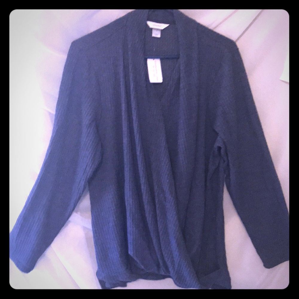 Christopher & Banks blue light sweater